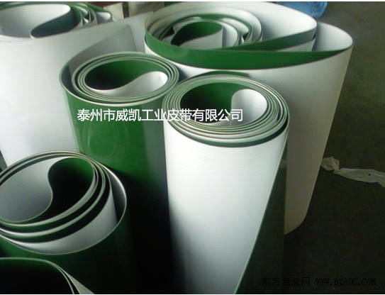 食品行業(yè)專業(yè)輸送帶